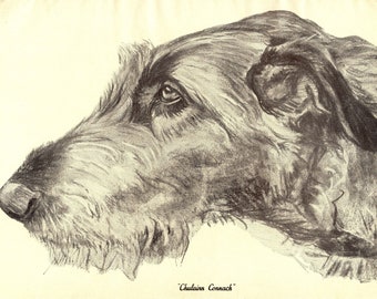 1930's Antique Irish Wolfhound Print Chulainn Connach Irish Wolfhound Dog Art Illustration Print Birthday Gift Idea 8150k