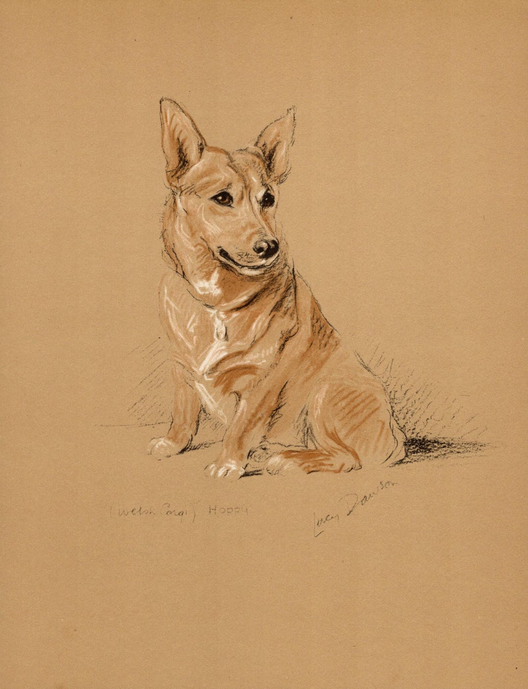1940 Antique Corgi Print Gallery Wall Art Decor Vintage Lucy Dawson ...