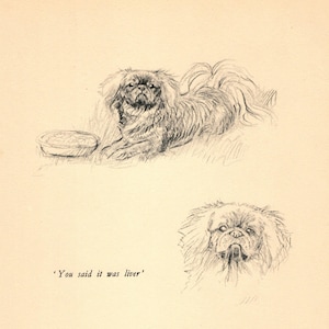 1938 Antique Pekingese Dog Art Print Wall Art Decor Vintage K Barker Pekingese Illustration Gift  kfb 10322s