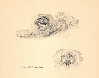 1938 Antique Pekingese Dog Art Print Wall Art Decor Vintage K Barker Pekingese Illustration Gift  kfb 10322s