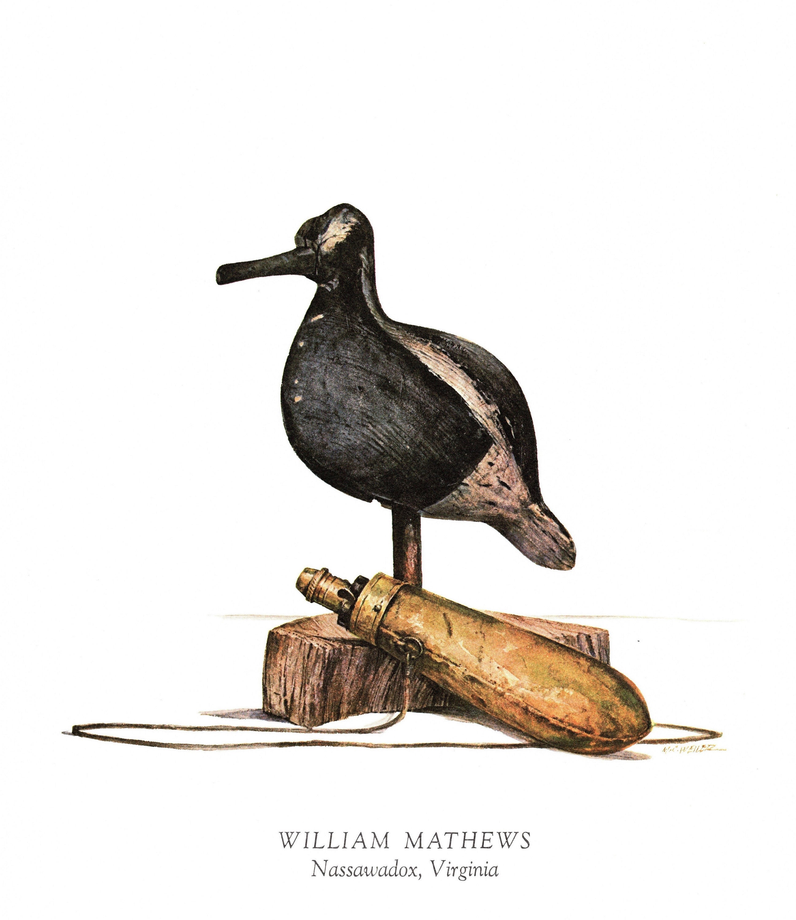 William Mathews Shorebird Decoy Print Nassawadox Virginia Wall