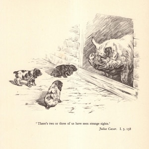 Lámina vintage de cocker spaniel, decoración de pared para galería, años 30, cita de Julio César de Shakespeare, "Visiones Extrañas" 11790Q