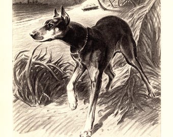 1940s Doberman Pinscher Print Wall Art Decor Morgan Dennis Doberman Illustration Gallery Wall Art Birthday Gift 13724k