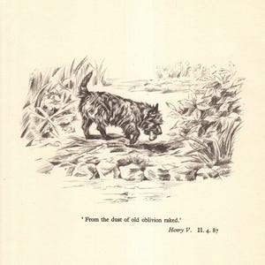 Vintage Cairn Terrier Print Gallery Wall Art Decor 1930s Shakespeare Henry V Quote From The Dust Of Old Oblivion Raked 12055c