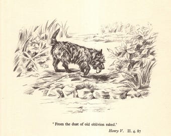 Vintage Cairn Terrier Print Gallery Wall Art Decor 1930s Shakespeare Henry V Quote From The Dust Of Old Oblivion Raked 12055c