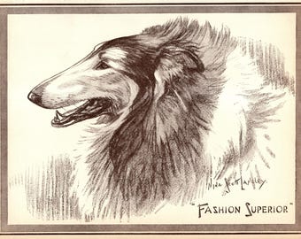 1930's Antique Collie Print Wall Art Decor Nina Scott Langley Fashion Superior Collie Illustration Gallery Wall Art Collie Gift 12952t
