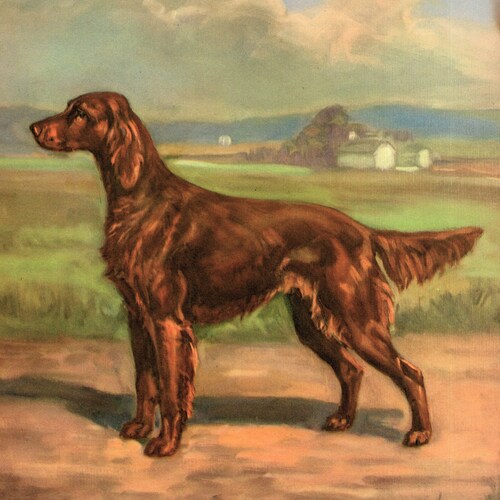 Vintage Irish Setter Print Wall Art Decor Edwin Megargee Irish Etsy