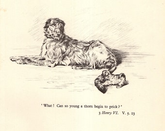 Antique Irish Wolfhound Print Wall Art Decor 1930s Shakespeare Quote From Henry VI Illustration Gallery Wall Art Home Decor 12058f