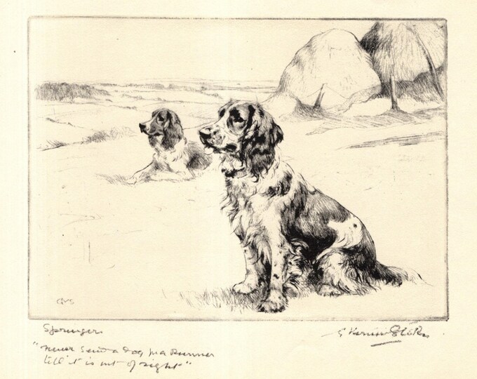 1930 Springer Spaniel Print Wall Art Decor Hunting Dog Sporting Dog ...