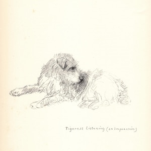 Antique Fox Terrier Art Sketch Print Wall Art Decor Vintage 1938 K Barker Fox Terrier Art Illustration Fox Terrier Gift  kfb 10259h