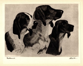 1930s Antique Foxhound Print Wall Art Decor Hunting Hill Pack Culpeper Virginia Foxhounds Illustration Bert Cobb Hunting Dog Decor  5910b