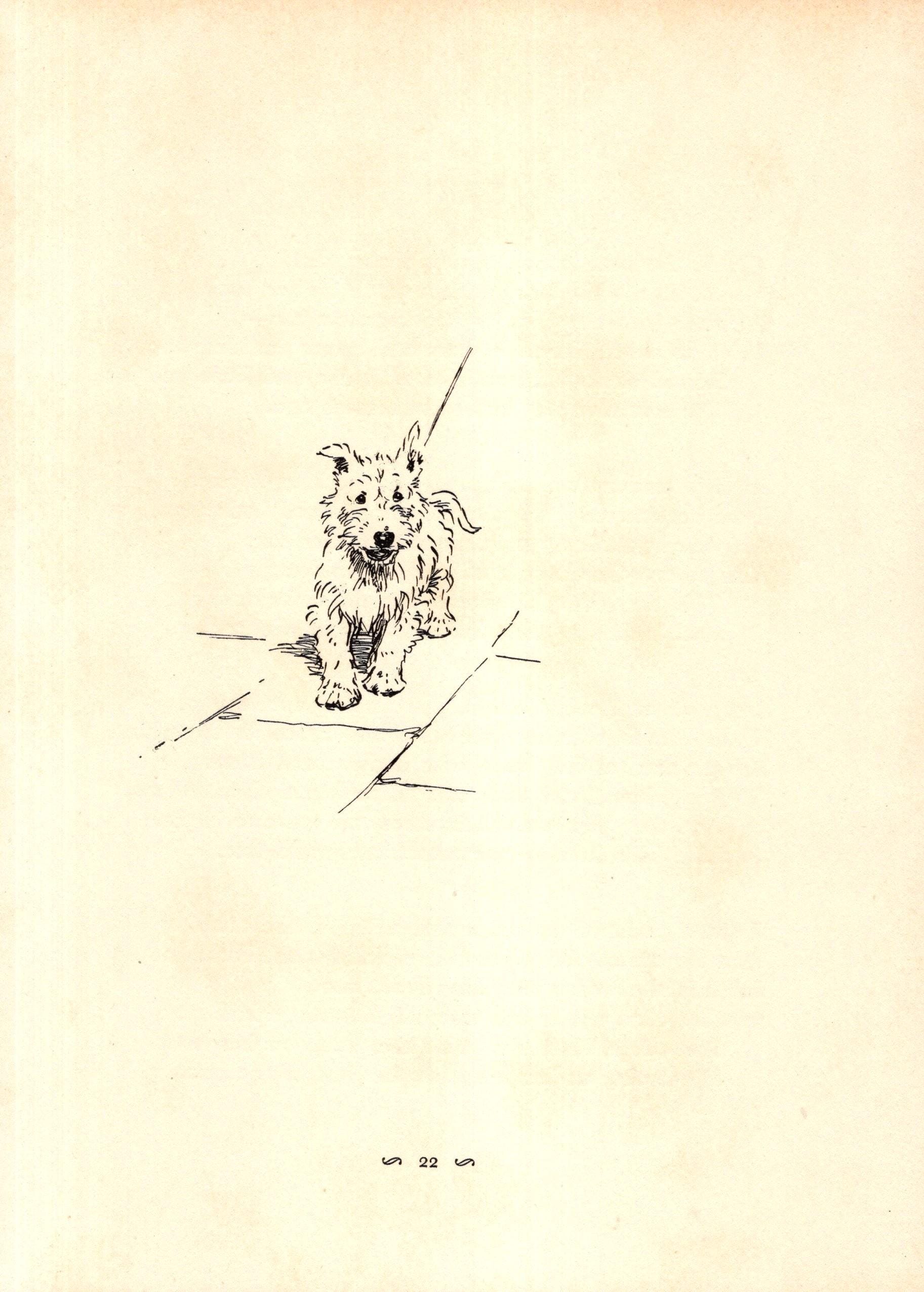 Cute West Highland White Terrier Print Wall Art Decor 1930 Cecil Aldin ...
