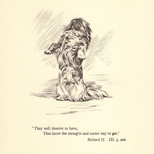 Vintage Pekingese Print Gallery Wall Art Decor 1930s Shakespeare Richard II Quote They Well Deserve To Have Print 9010h