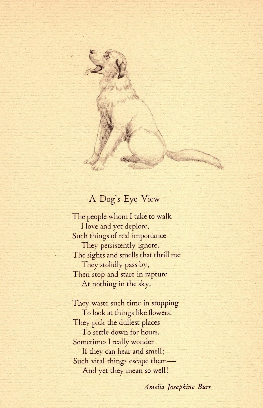 Playlist Songs Mentioning Dogs Dog Themed Songs Dog Themed Songs