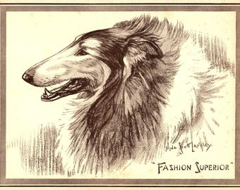 1930's Antique Collie Print Wall Art Decor Nina Scott Langley Fashion Superior Collie Illustration Gallery Wall Art Collie Gift 13683m