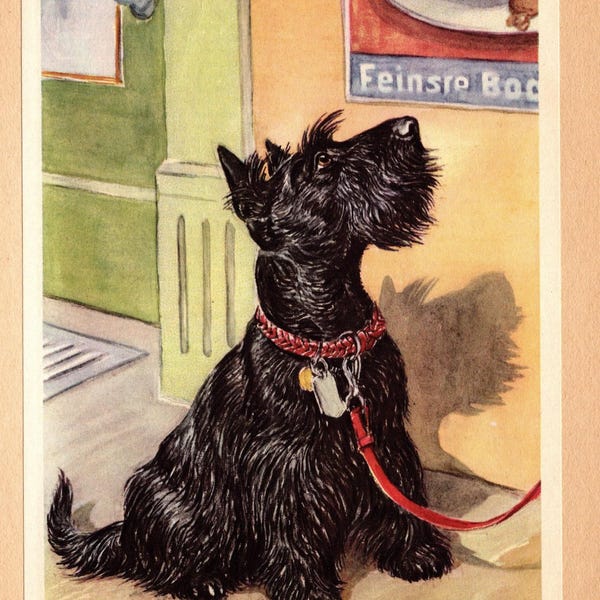 Impresión vintage de terrier escocés, arte de pared, decoración, Scholz, terrier escocés, ilustración artística de Scottie, decoración del hogar, regalo, impresión 10108 m