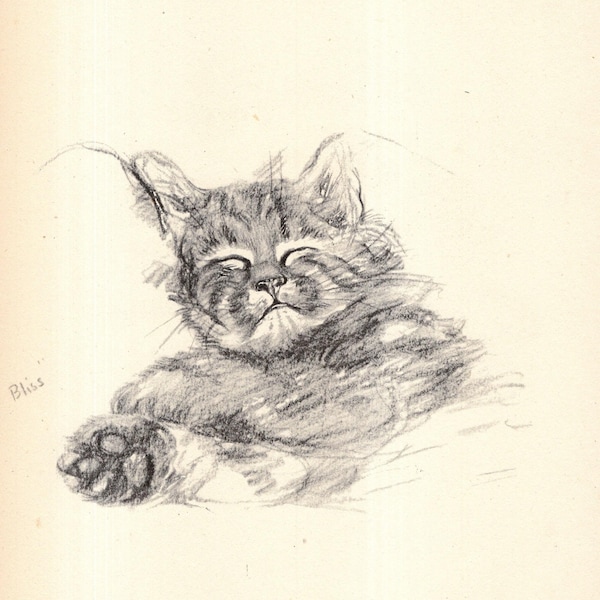 Lámina vintage de Lucy Dawson con la ilustración de un gato durmiendo plácidamente. Decoración de pared. Regalo ideal para cumpleaños o para un amigo. 13176c