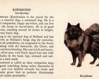 keeshond gifts