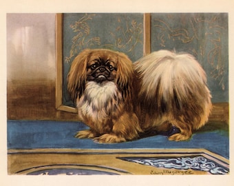 1942 Antique Pekingese Print Wall Art Decor Vintage Pekingese Illustration Edwin Megargee Pekingese Home Decor Birthday Gift Idea 13550y