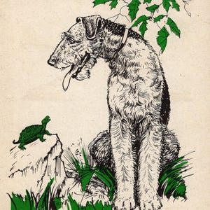 Vintage Welsh Terrier Print Wall Art Decor 1940 Diana Thorne Welsh Terrier Illustration Birthday Gift for Anniversary Friend 10665m
