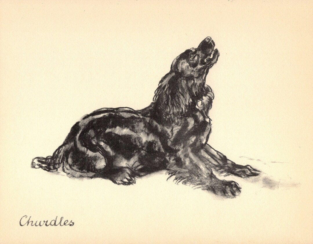 1937 Cocker Spaniel Art Print Vintage Vere Temple Cocker Spaniel Dog ...