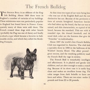 May include: An illustration of a French Bulldog, a breed of dog. The dog is depicted in a standing pose, with a dark coat and a distinctive bat-like ear shape. Text at the top reads "The French Bulldog".