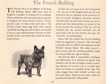 Vintage French Bulldog Print 1942 Edwin Megargee Frenchie Dog Art Illustration Home Decor Gift Idea 12666d