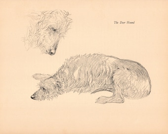 Vintage Scottish Deerhound Print Wall Art Decor 1938 Vintage K Barker Deerhound Art Sketches Illustration Deerhound Gift  kfb 10836f