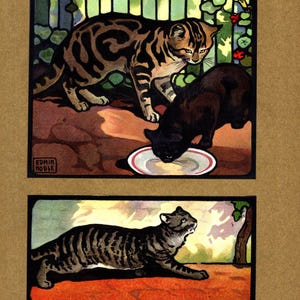 May include: Two tabby cats, one black and one brown, drinking from a white saucer. The black cat is in the foreground and the brown cat is in the background. The cats are in a garden setting with green foliage and a red flower.