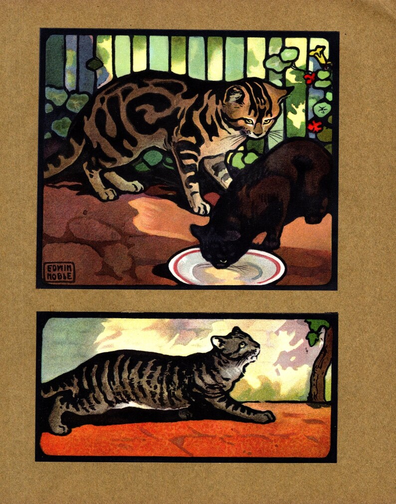 May include: Two tabby cats, one black and one brown, drinking from a white saucer. The black cat is in the foreground and the brown cat is in the background. The cats are in a garden setting with green foliage and a red flower.