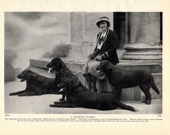 1930's Antique Flat Coated Retriever Print Atherbram Retrievers and Miss Phizacklea Print Birthday Gift Idea 8133s