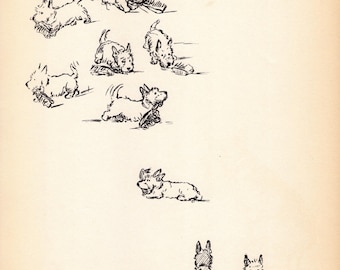 1937 Lucy Dawson Scottish Terrier Print Wall Art Decor Vintage Scottie Illustration Gallery Wall Art Gift for Birthday 13326j