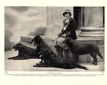 1930's Antique Flat Coated Retriever Print Atherbram Retrievers and Miss Phizacklea Print Birthday Gift Idea 13535h