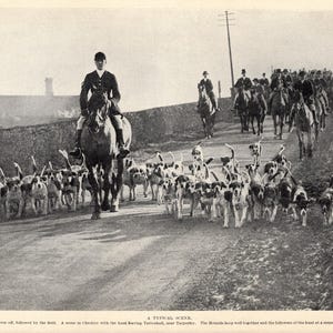 1930er Antiker FOXHOUND Hundedruck Jagdhunde Fuchsjagd Pack Tattenhall Cheshire Fuchsjagd Geburtstag Geschenkidee 10941f