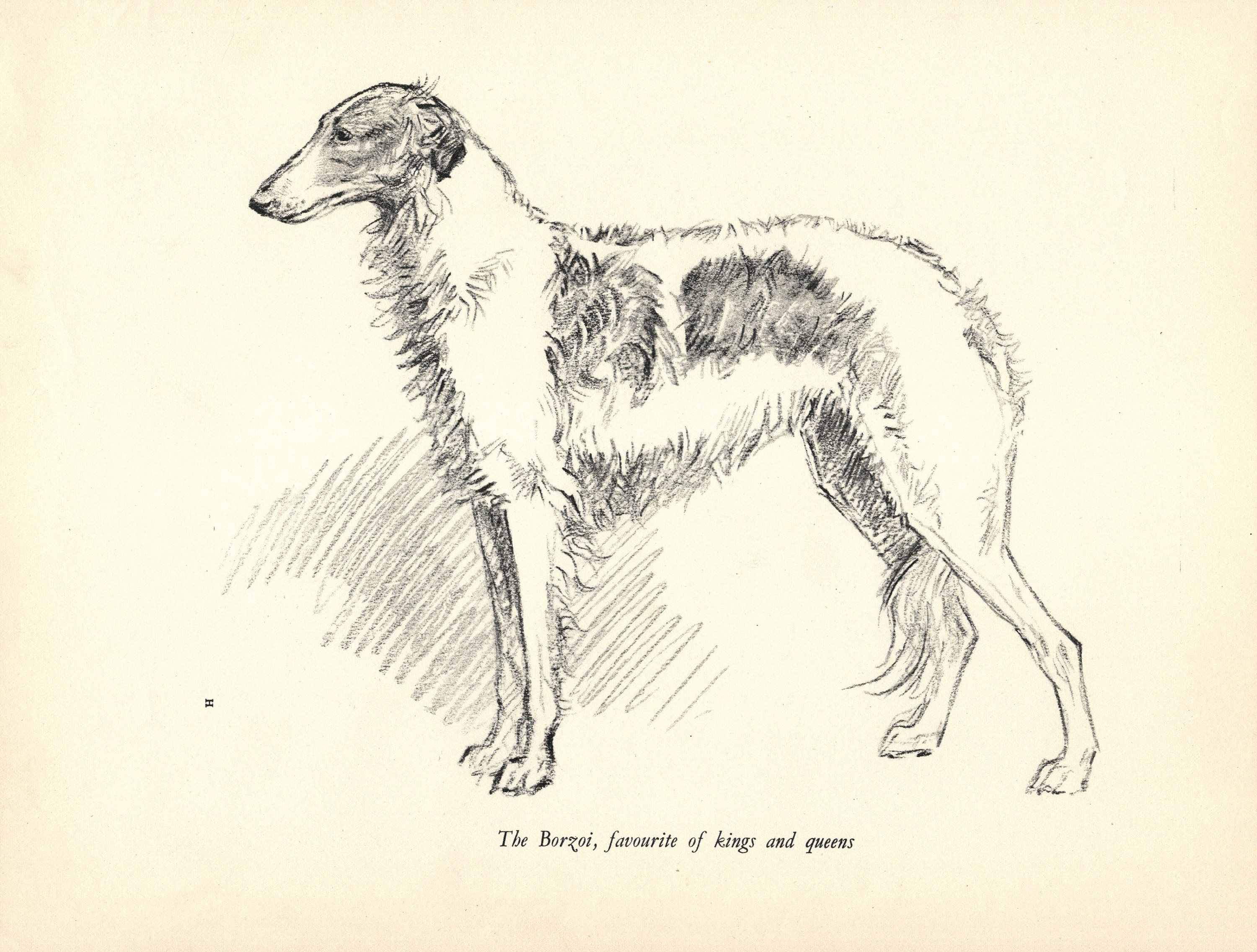 Borzoi art - Etsy 日本