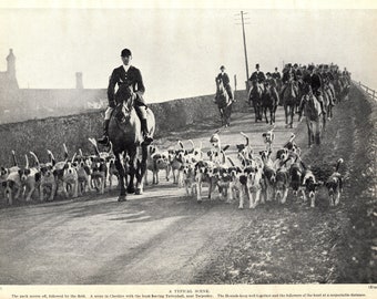 1930's Antique FOXHOUND Dog Print Hounds Fox Hunt Pack Leaving Tattenhall Cheshire Fox Hunting Birthday Gift Idea 8140z