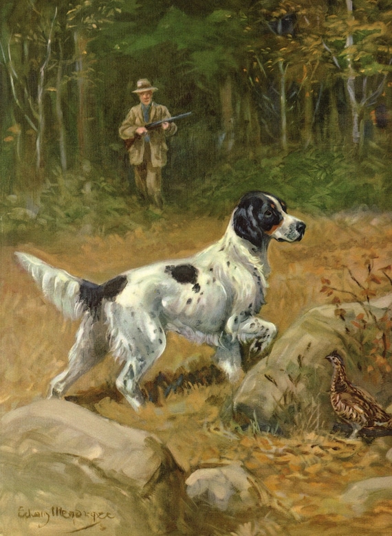 Vintage English Setter Print Wall Art Decor 1950s Edwin Megargee English Setter Illustration Hunting Lodge Cabin Decor 12356