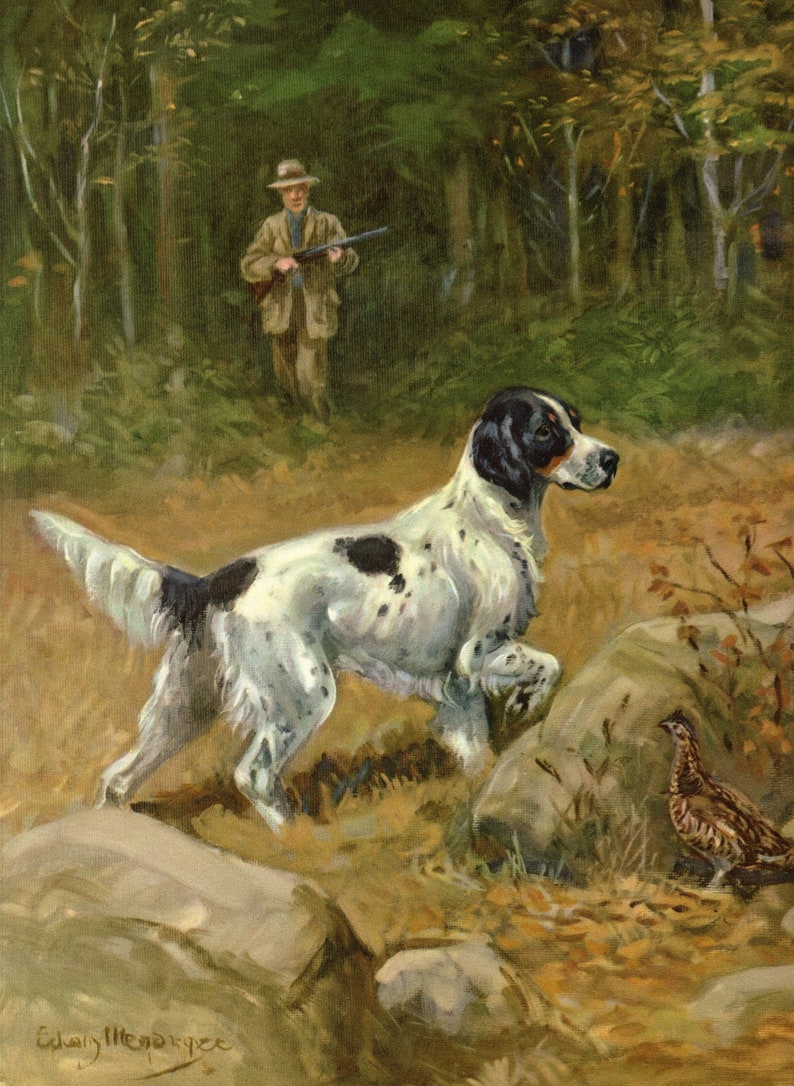 Puede incluir: Un Springer Spaniel ingl&eacute;s blanco y negro se encuentra en un camino rocoso en un bosque, apuntando con la nariz a un p&aacute;jaro marr&oacute;n y blanco. Un cazador con una escopeta se encuentra en el fondo.