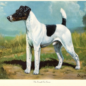1942 Antique Fox Terrier Print Wall Art Decor Vintage Edwin Megargee Smooth Fox Terrier Illustration Birthday Gift Home Decor 11194r