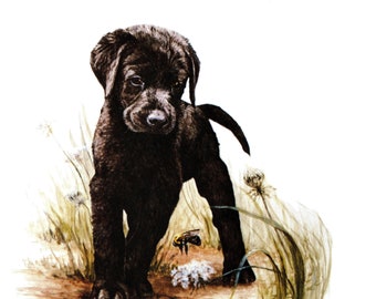 Vintage Labrador Retriever Print Gallery Wall Art Decor Black Lab Puppy and Bee Wall Art Tara Moore Labrador Retriever Puppy Art 11615u