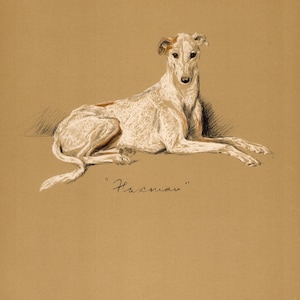 1940 Antique Greyhound Dog Art Print Vintage Lucy Dawson Greyhound Illustration Wall Art Decor Gift for Birthday 10391n