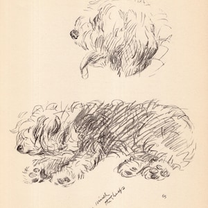 Lucy Dawson Old English Sheepdog Print Vintage 1940 Old English Sheepdog Illustration Gallery Wall Art Gift for Birthday Friend 11345j