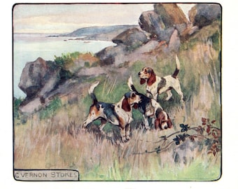 Antik beagletryck från 1906, väggdekor, vintage Vernon Stokes beagleillustration, heminredning, födelsedagspresent vs 11427a