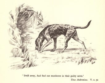 Vintage Bloodhound Print Gallery Wall Art Decor 1930s Shakespeare Titus Andronicus Quote Swift Away 13721g