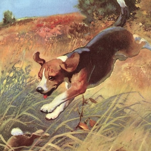 Sweet Vintage Beagle Print Wesley Dennis Beagle Illustration Childrens Room Decor Beagle Wall Art Gift for Birthday Friend wd 10608y