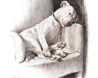 Cecil Aldin Bull Terrier Print Wall Art Decor 1930 Bull Terrier Illustration Home Decor Gift for Birthday 11892g