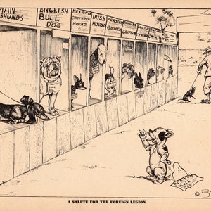 Stampa umoristica di cani, decorazione da parete, Chihuahua, Bulldog, Bassotto, Levriero irlandese, Griffone di Bruxelles, Boston Terrier, Zito, illustrazione degli anni '40, 8041w
