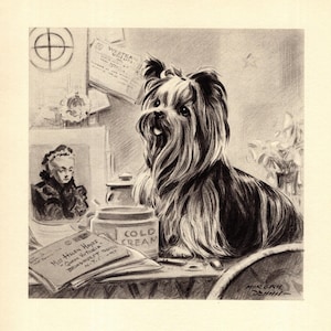 1940s Yorkshire Terrier Print Wall Art Decor Morgan Dennis Yorkshire Terrier Illustration Gallery Wall Art Birthday Gift Idea 11296c