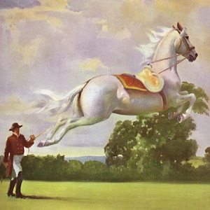 jaren 1950 Lippizaner paard print paard kunst aan de muur decor Wesley Dennis Art paardensport decor voor meisjes kamer verjaardagscadeau wd 10524p