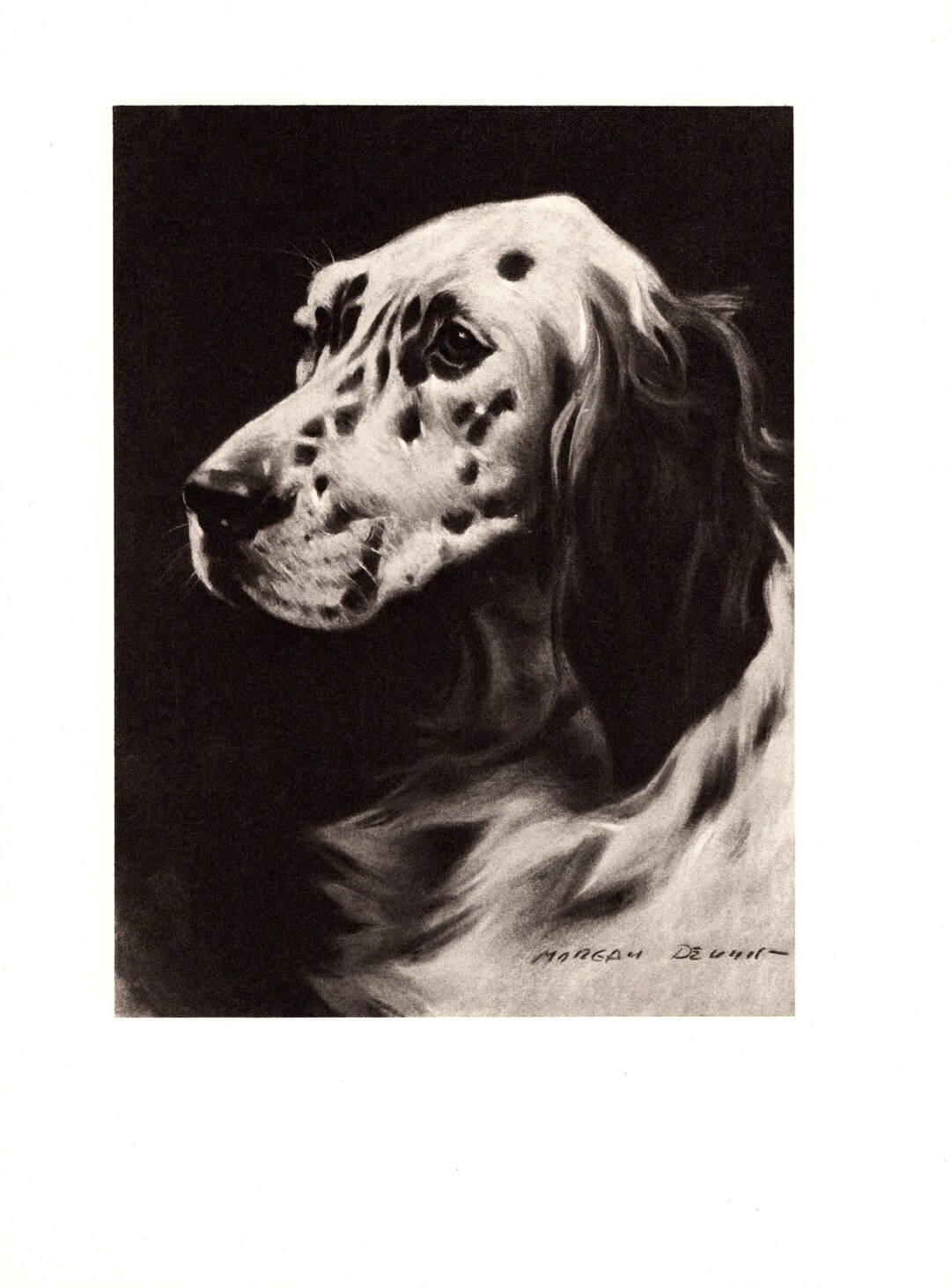 Vintage English Setter Print Wall Art Decor 1940s Morgan Dennis English ...